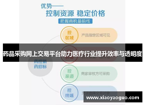 药品采购网上交易平台助力医疗行业提升效率与透明度