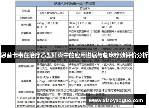 恩替卡韦在治疗乙型肝炎中的应用进展与临床疗效评价分析